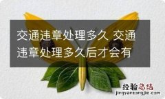 交通违章处理多久 交通违章处理多久后才会有记录