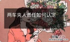 两车夹人责任如何认定