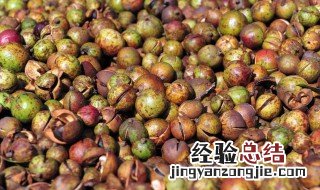 自制摘茶籽方法 摘茶籽的小妙招