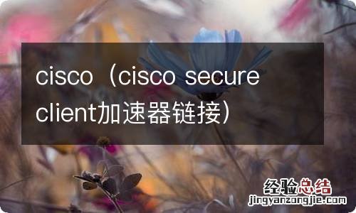 cisco secure client加速器链接 cisco