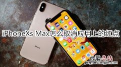 iPhoneXs Max怎么取消应用上的红点