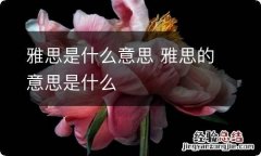 雅思是什么意思 雅思的意思是什么