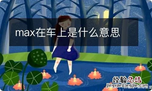 max在车上是什么意思