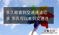 多久能查到交通违法记录 多久可以查到交通违法