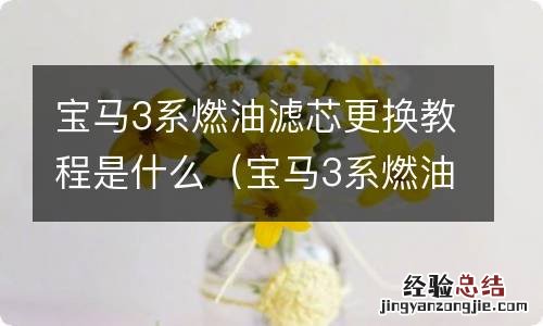 宝马3系燃油滤芯更换教程是什么样的 宝马3系燃油滤芯更换教程是什么