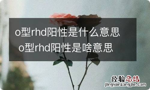 o型rhd阳性是什么意思 o型rhd阳性是啥意思