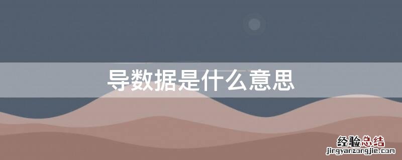 导数据是什么意思