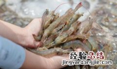 怎么去虾屎和虾线 虾线是屎吗