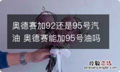 奥德赛加92还是95号汽油 奥德赛能加95号油吗