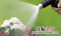 茶水发酵几天可以浇花 茶水发酵几天可以浇花草