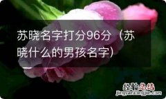 苏晓什么的男孩名字 苏晓名字打分96分