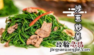 沙葱羊肉 什么是沙葱羊肉