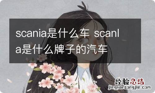 scania是什么车 scanla是什么牌子的汽车