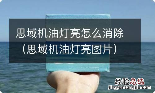 思域机油灯亮图片 思域机油灯亮怎么消除