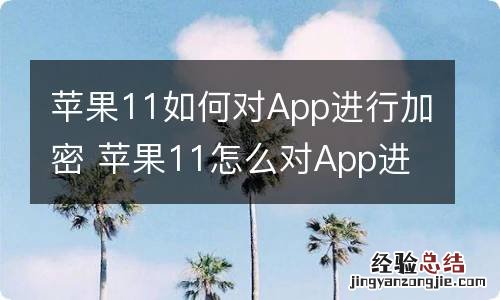 苹果11如何对App进行加密 苹果11怎么对App进行加密