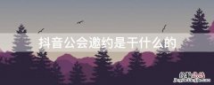 抖音公会邀约是干什么的