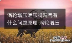 涡轮增压泄压阀漏气有什么问题原理 涡轮增压器泄压阀漏气