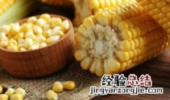 玉米怎么挑又嫩又甜的窍门 玉米怎么挑又嫩又甜