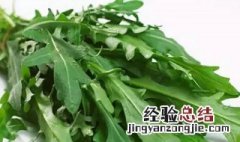 野莴苣菜的功效与作用 野莴苣菜的功效与作用是什么