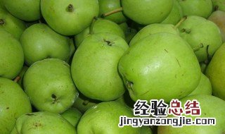 青梨的功效与作用 青梨的功效与作用是什么