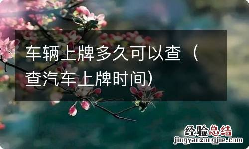 查汽车上牌时间 车辆上牌多久可以查