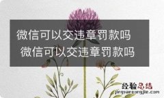 微信可以交违章罚款吗 微信可以交违章罚款吗在上海