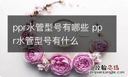 ppr水管型号有哪些 ppr水管型号有什么