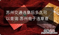 苏州交通违章后多久可以查询 苏州电子违章查询多久可以查到