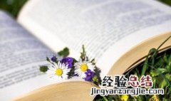 对a是什么意思网络用语 a是什么意思网络用语污