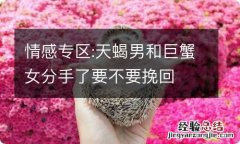 情感专区:天蝎男和巨蟹女分手了要不要挽回