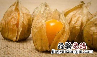 龙珠果和灯笼果的区别 龙珠果和姑娘果的区别