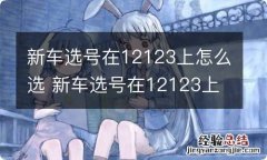 新车选号在12123上怎么选 新车选号在12123上怎么选 北京