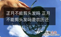 正月不能剪头发吗 正月不能剪头发吗是农历还是阳历