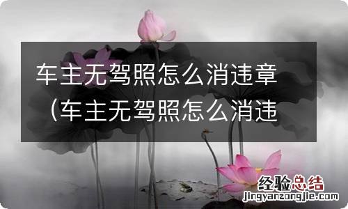 车主无驾照怎么消违章罚款 车主无驾照怎么消违章