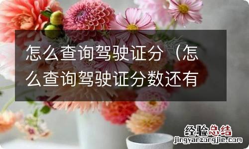 怎么查询驾驶证分数还有多少分 怎么查询驾驶证分