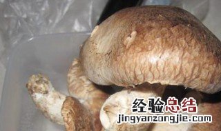 香菇怎么保存好 香菇保存好的方法