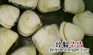 白贝怎么保存 白贝的制作方法