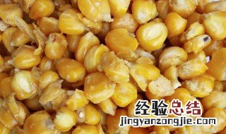 玉米粒饵料怎么做视频 玉米粒饵料怎么做