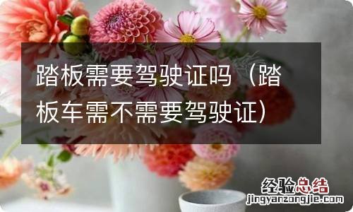 踏板车需不需要驾驶证 踏板需要驾驶证吗