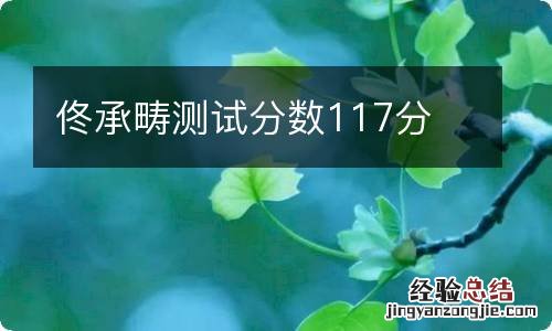 佟承畴测试分数117分