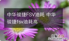 中华骏捷FSV油耗 中华骏捷fsv油耗高