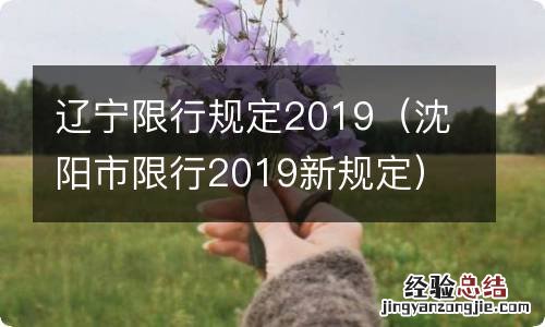 沈阳市限行2019新规定 辽宁限行规定2019