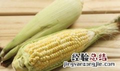 水果玉米和糯玉米哪个热量高 水果玉米减肥可以吃吗