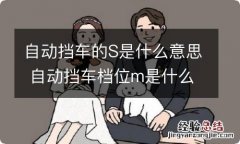 自动挡车的S是什么意思 自动挡车档位m是什么意思