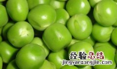 青豆发芽了还可以吃吗 青豆发芽了还可以吃吗?