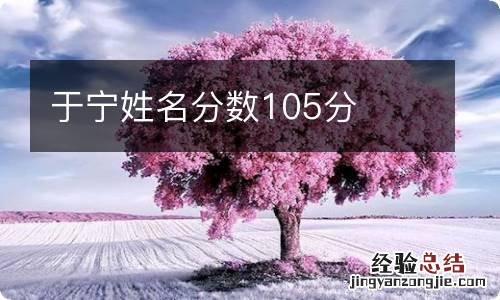 于宁姓名分数105分