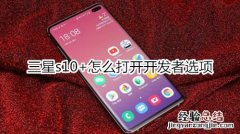 三星s10+怎么打开开发者选项