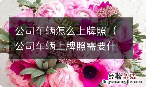 公司车辆上牌照需要什么手续 公司车辆怎么上牌照