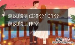 葛凤麟测试得分101分 葛凤麟工作室