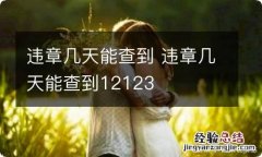 违章几天能查到 违章几天能查到12123